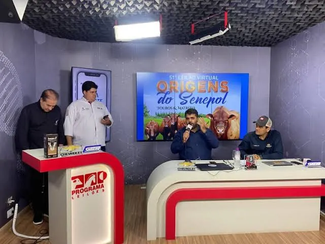 Estúdio da Programa Leilões durante transmissão de leilão virtual